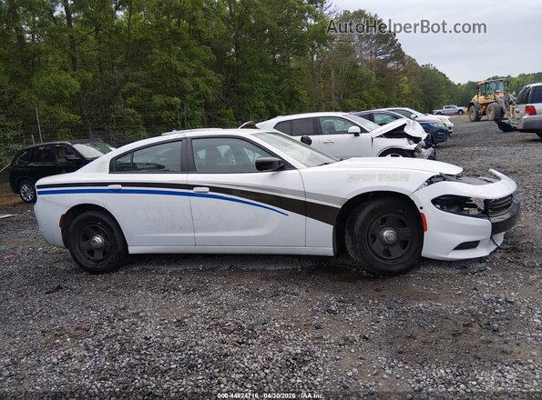 2C3CDXAT6PH533533 2023 DODGE CHARGER Белый Панорамный вид салона 360°