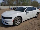 2021 Dodge Charger Sxt White vin: 2C3CDXBGXMH628397