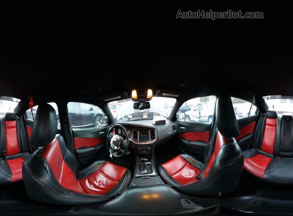 2C3CDXCT6JH253132 2018 DODGE CHARGER Серый Вид наклейки с VIN-кодом