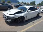 2019 Dodge Charger Scat Pack Rwd Белый vin: 2C3CDXGJ0KH619368
