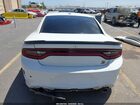 2019 Dodge Charger Scat Pack Rwd Белый vin: 2C3CDXGJ0KH619368