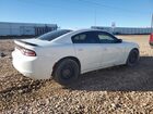 2016 Dodge Charger Police Белый vin: 2C3CDXKT6GH156037