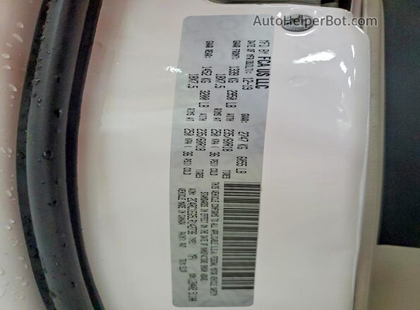 2C4RC1EG5LR142736 2020 CHRYSLER PACIFICA White Widok naklejki z numerem VIN