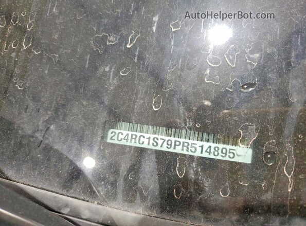 2C4RC1S79PR514895 2023 CHRYSLER PACIFICA Серый Вид наклейки с VIN-кодом