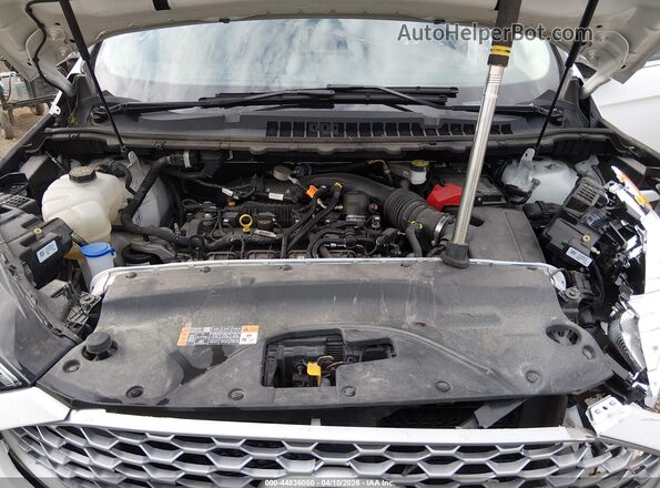 2FMPK4J95PBA21007 2023 FORD EDGE White Widok z tyłu