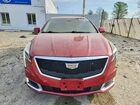 2019 Cadillac Xts Luxury Red vin: 2G61M5S38K9123747
