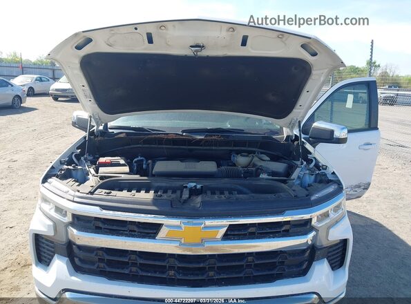 2GCUDDED1P1118498 2023 CHEVROLET SILVERADO White Widok z tyłu