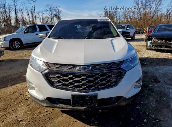 2GNAXTEX2J6310061 2018 CHEVROLET EQUINOX Белый Вид спереди