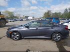 2020 Honda Civic Lx Gray vin: 2HGFC2F65LH557626