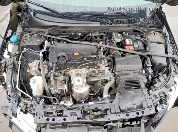 2HGFE2F57NH571516 2022 HONDA CIVIC Черный Вид задней части салона