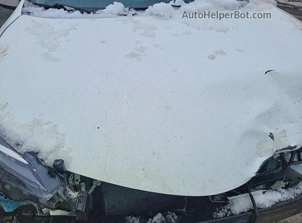 2T1BURHE4KC190492 2019 TOYOTA LL Белый Вид задней части салона