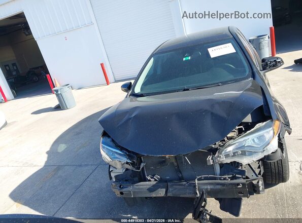2T1BURHE8KC234025 2019 TOYOTA LL Черный Вид задней части салона