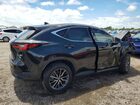 2024 Lexus Nx 250 Base Black vin: 2T2ADCAZ2RC010874