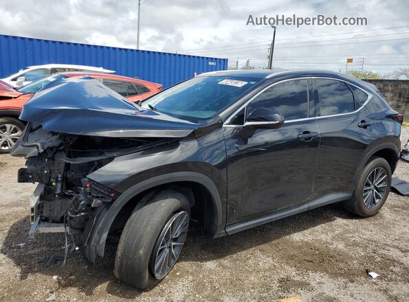 2T2ADCAZ2RC010874 2024 LEXUS NX Black 