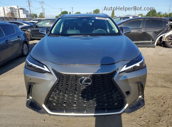 2T2ADCAZ2RC013077 2024 LEXUS NX Серый Вид спереди