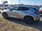 2024 Lexus Nx 250 Base Серый vin: 2T2ADCAZ2RC013077