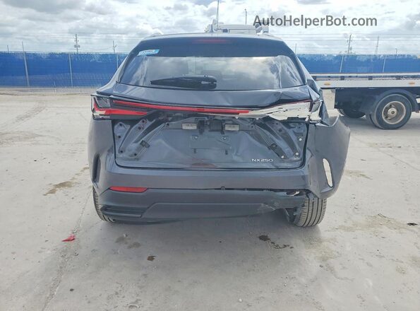 2T2ADCAZ8PC003702 2023 LEXUS NX Gray Widok z tyłu