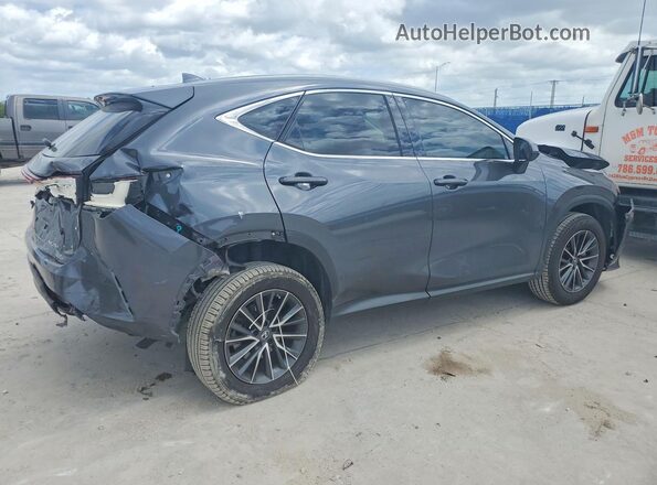 2T2ADCAZ8PC003702 2023 LEXUS NX Gray Tył prawy
