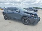 2023 Lexus Nx 250 Gray vin: 2T2ADCAZ8PC003702