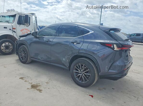 2T2ADCAZ8PC003702 2023 LEXUS NX Gray Tył lewy
