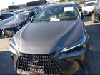 2024 Lexus Nx 250   Серый vin: 2T2ADCAZ9RC009947