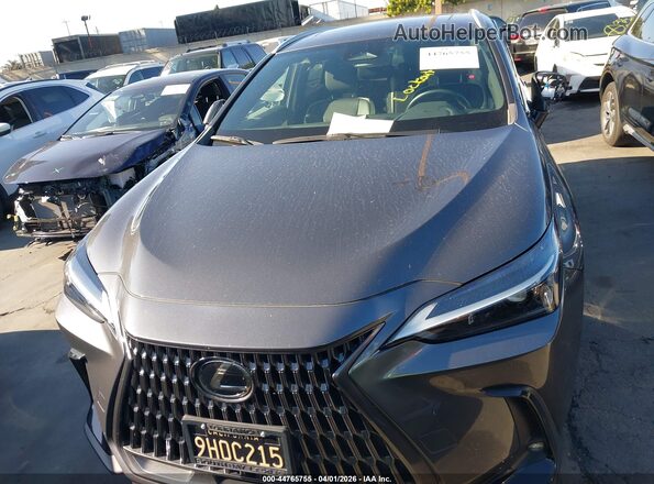 2T2ADCAZ9RC009947 2024 LEXUS NX 250 Серый Вид задней части салона
