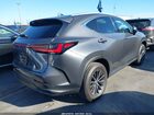 2024 Lexus Nx 250   Серый vin: 2T2ADCAZ9RC009947