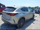 2023 Lexus Nx 250   Beige vin: 2T2ADCAZXPC005001