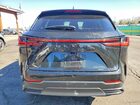 2024 Lexus Nx 250 Base Black vin: 2T2ADCEZ2RC004633