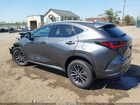 2025 Lexus Nx 350   Gray vin: 2T2AGCEZ2SC081645