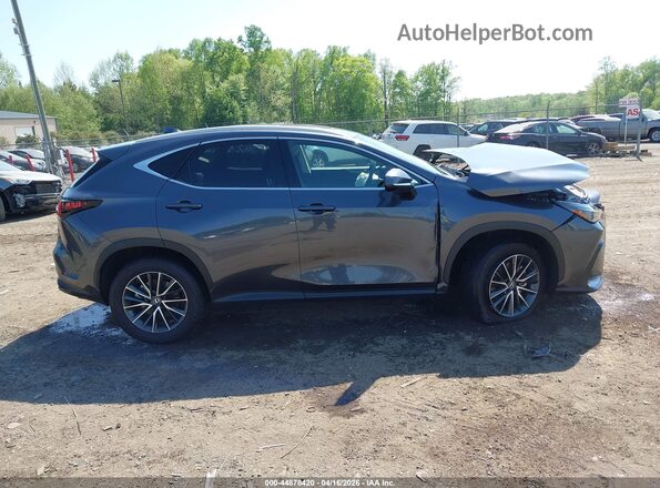 2T2AGCEZ2SC081645 2025 LEXUS NX 350 Gray Widok wnętrza z tyłu