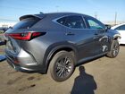 2026 Lexus Nx 350 Base Gray vin: 2T2AGCEZ3TC102973
