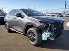 2026 Lexus Nx 350 Base Gray vin: 2T2AGCEZ3TC102973