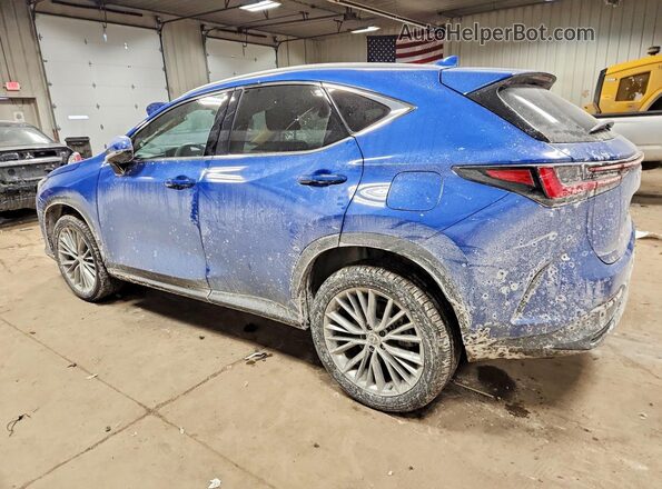 2T2AGCEZ5SC092350 2025 LEXUS NX Blue Tył lewy