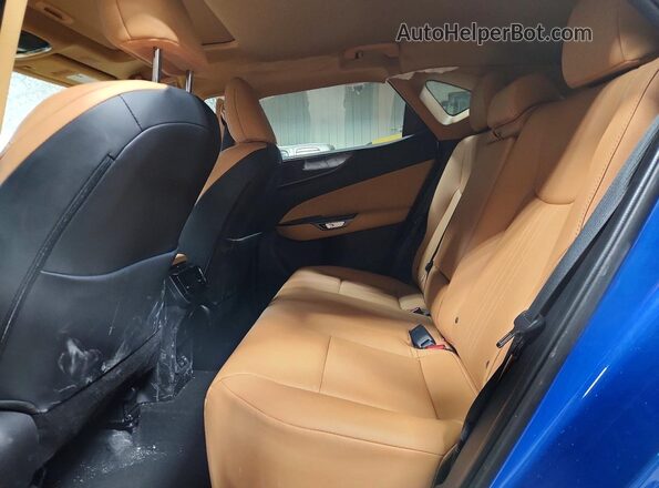 2T2AGCEZ5SC092350 2025 LEXUS NX Blue Widok wnętrza z tyłu
