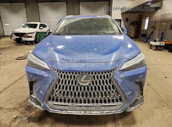 2T2AGCEZ5SC092350 2025 LEXUS NX Blue Widok z przodu