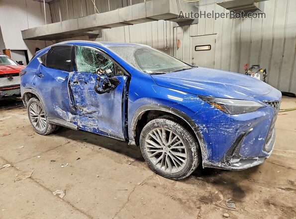 2T2AGCEZ5SC092350 2025 LEXUS NX Blue Przód prawy