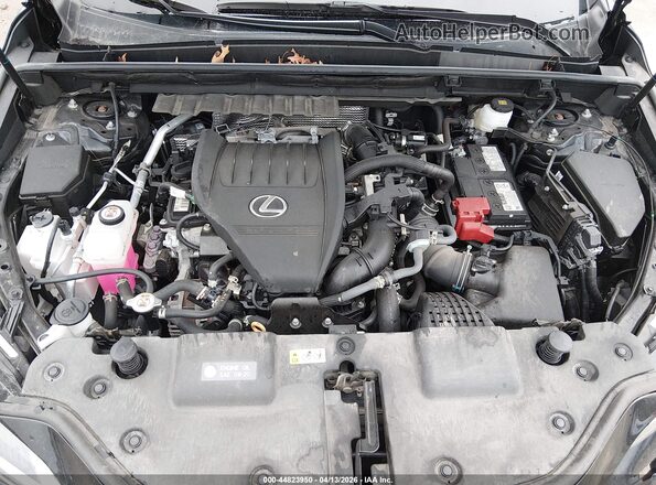 2T2AGCEZ8SC067409 2025 LEXUS NX 350 Black Հետևի տեսք