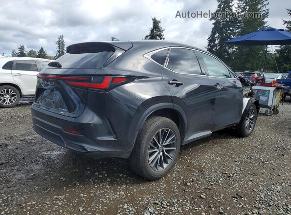 2T2AKCEZ5PC009778 2023 LEXUS NX Black Trasero derecho