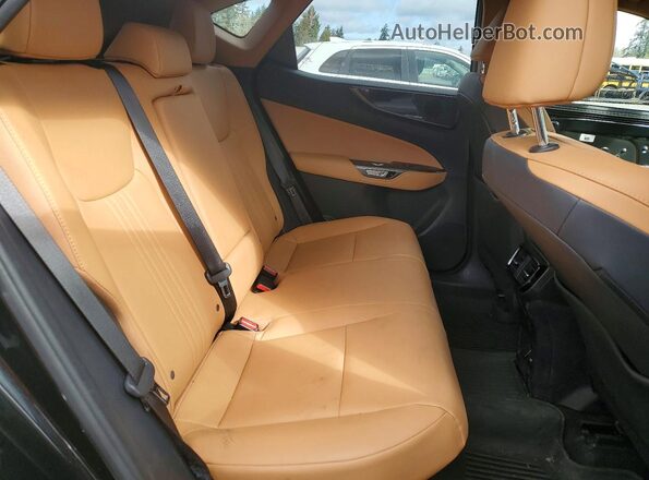 2T2AKCEZ5PC009778 2023 LEXUS NX Black Vista interior trasera
