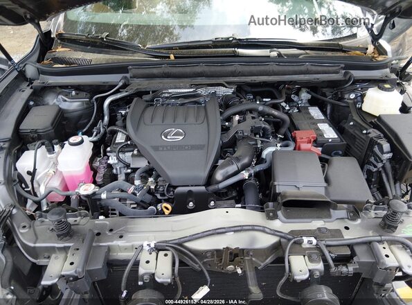 2T2BAMBAXSC063842 2025 LEXUS RX 350 Серый Вид сзади