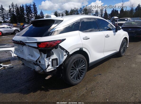 2T2BAMCA2SC091973 2025 LEXUS RX 350 White Հետևի աջ