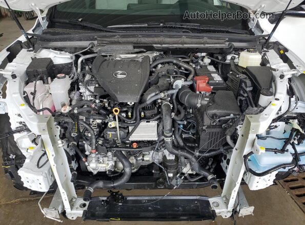 2T2BAMCA5TC130802 2026 LEXUS RX Белый 