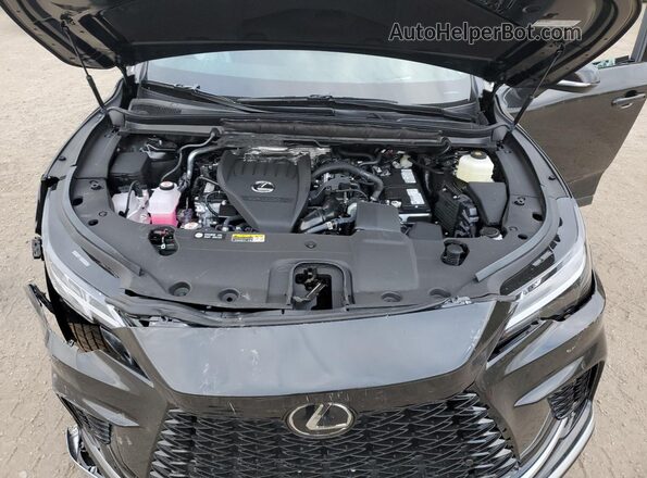 2T2BAMCA6SC121878 2025 LEXUS RX Black Widok komory silnika