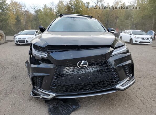 2T2BAMCA6SC121878 2025 LEXUS RX Black Widok z przodu