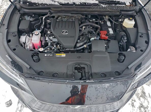 2T2BAMCAXRC087471 2024 LEXUS RX Черный Вид задней части салона