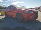 2023 Lexus Nx 250 Red vin: 2T2GDCAZ2PC004662