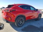 2023 Lexus Nx 250 Red vin: 2T2GDCAZ2PC004662