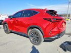 2023 Lexus Nx 250 Red vin: 2T2GDCAZ2PC004662