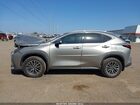 2024 Lexus Nx 250 Premium Gray vin: 2T2GDCAZ4RC007176
